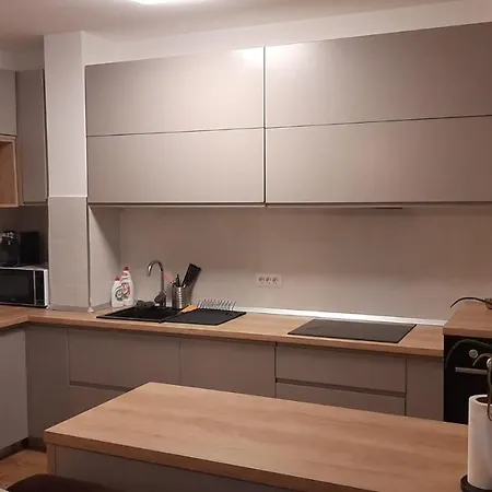 Apartment Vlad Cluj-Napoca