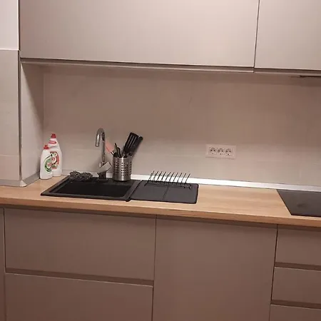 Vlad Apartment *